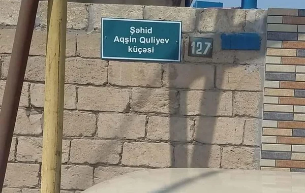 Sabirabadda 6 şəhidin adı küçələrə verilib - FOTO