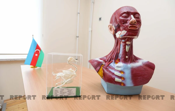 Kürdəxanıda tikilən yeni məktəbdən - FOTOREPORTAJ