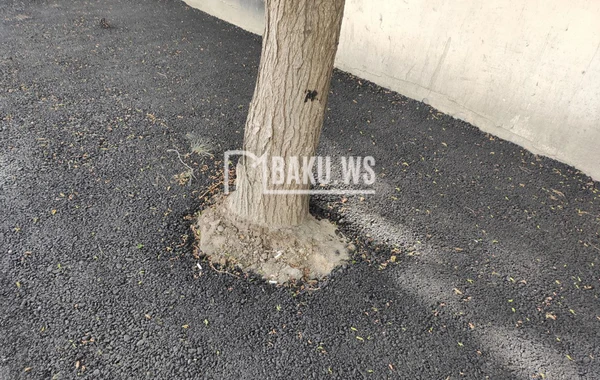 BAKU.WS işıqlandırdı, problem həllini tapdı - YENİLƏNİB - FOTO/VİDEO