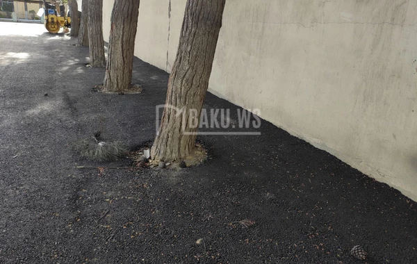 BAKU.WS işıqlandırdı, problem həllini tapdı - YENİLƏNİB - FOTO/VİDEO