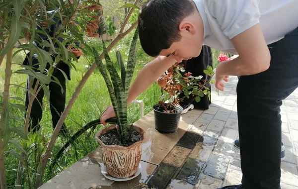 Bakıda orta məktəbdə “Təbiəti qoruyanlar" mövzusunda "açıq dərs" keçirilib - FOTO