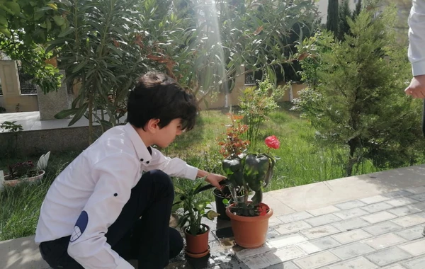 Bakıda orta məktəbdə “Təbiəti qoruyanlar" mövzusunda "açıq dərs" keçirilib - FOTO