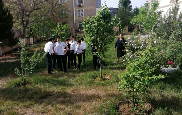 Bakıda orta məktəbdə “Təbiəti qoruyanlar" mövzusunda "açıq dərs" keçirilib - FOTO