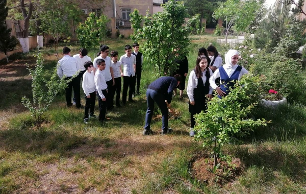 Bakıda orta məktəbdə “Təbiəti qoruyanlar" mövzusunda "açıq dərs" keçirilib - FOTO