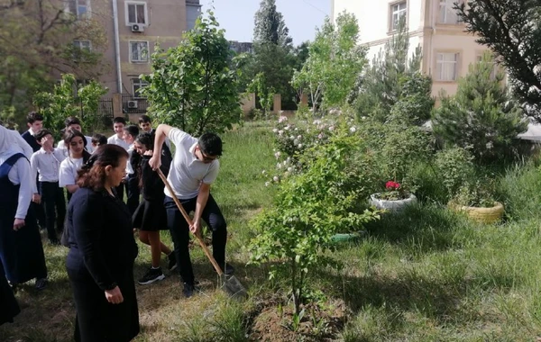 Bakıda orta məktəbdə “Təbiəti qoruyanlar" mövzusunda "açıq dərs" keçirilib - FOTO