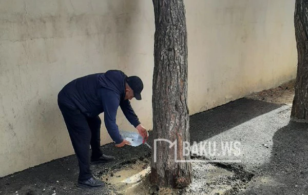 BAKU.WS işıqlandırdı, problem həllini tapdı - YENİLƏNİB - FOTO/VİDEO