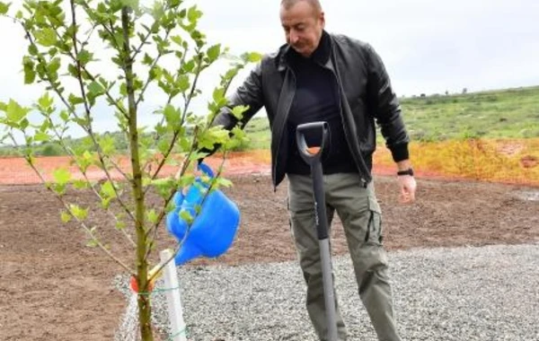 Prezident və birinci xanım Füzulidə yeni yaradılacaq mərkəzi parkın ərazisində ağac əkiblər