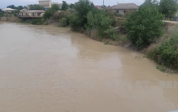 Уровень воды в Куре стремительно растет - ФОТО