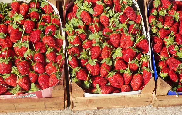 В Азербайджане три члена одной семьи отравились клубникой