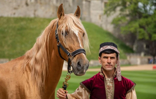 İlham Əliyevin hədiyyəsi Kraliça II Elizabetə təqdim olunub - FOTO/VİDEO