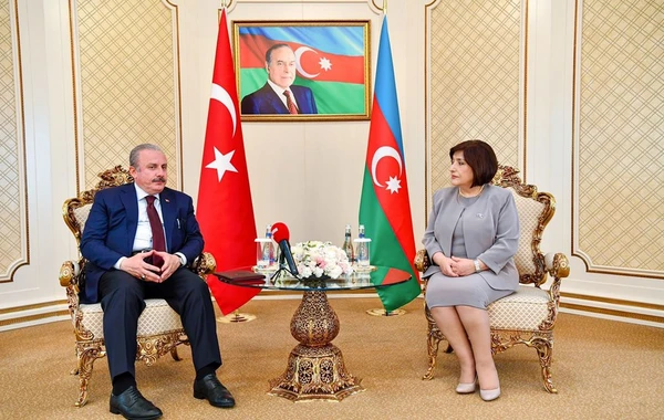 Sahibə Qafarova TBMM sədri ilə görüşdü - FOTO
