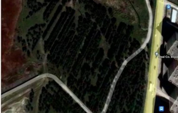 Ceyranbatan su anbarının ərazisindəki ağaclar kütləvi quruyur - AÇIQLAMA + FOTO