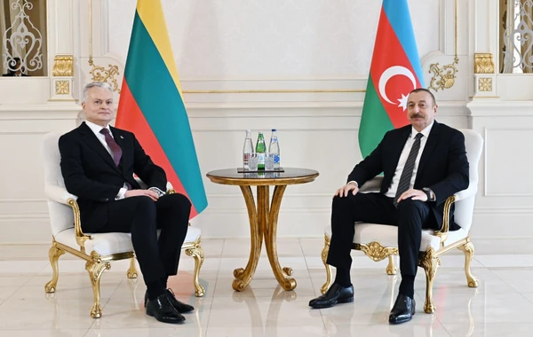 Azərbaycan və Litva prezidentlərinin görüşü olub - YENİLƏNİB - FOTO