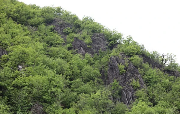 Kəlbəcərin yaz mənzərəsi - FOTOREPORTAJ