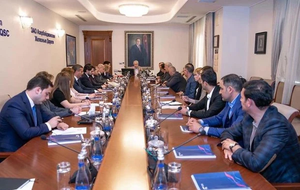 Milli yığma komandalara baş məşqçilərin təyinatı rəsmiləşdi