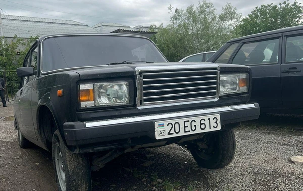 Avtoxuliqanlıq edən qazilər saxlanıldılar - FOTO