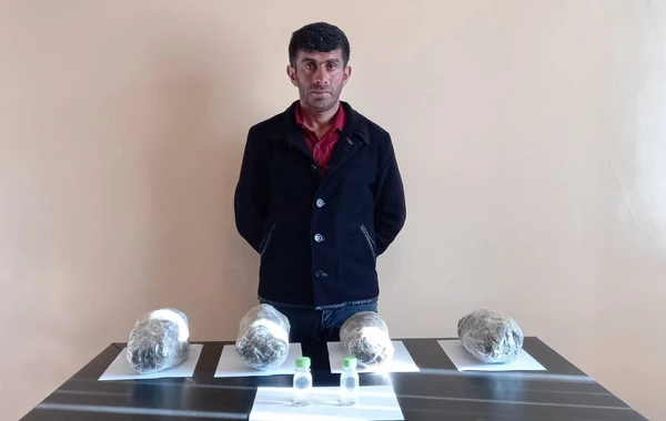 Ölkəyə narkotik gətirilməsinin qarşısı alınıb