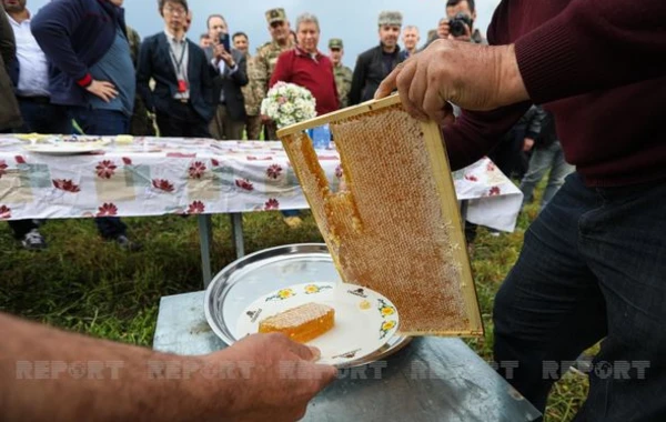 Великолепные виды Кельбаджара - ФОТО