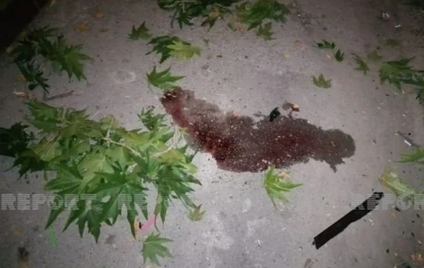 Bakıda oğurluğa cəhd edən kişi özünü 5-ci mərtəbədən yerə atıb - FOTO