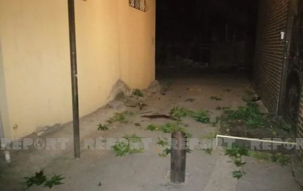 Bakıda oğurluğa cəhd edən kişi özünü 5-ci mərtəbədən yerə atıb - FOTO