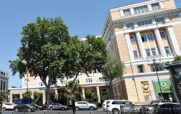 ETSN Bakının mərkəzində ağacların kəsilməsi iddiasını araşdırır - FOTO