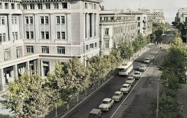 ETSN Bakının mərkəzində ağacların kəsilməsi iddiasını araşdırır - FOTO