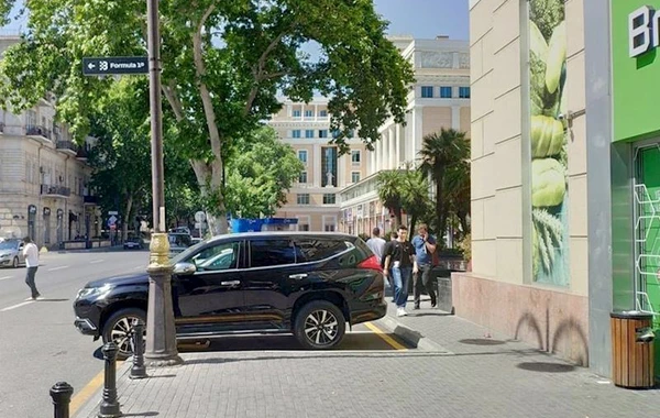 ETSN Bakının mərkəzində ağacların kəsilməsi iddiasını araşdırır - FOTO