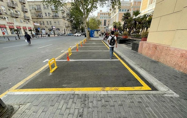 ETSN Bakının mərkəzində ağacların kəsilməsi iddiasını araşdırır - FOTO