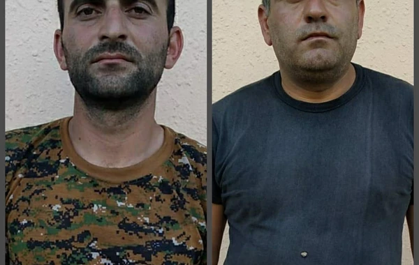 Meşədə narkotik plantasiyası salan şəxslər iş başında tutuldu - FOTO