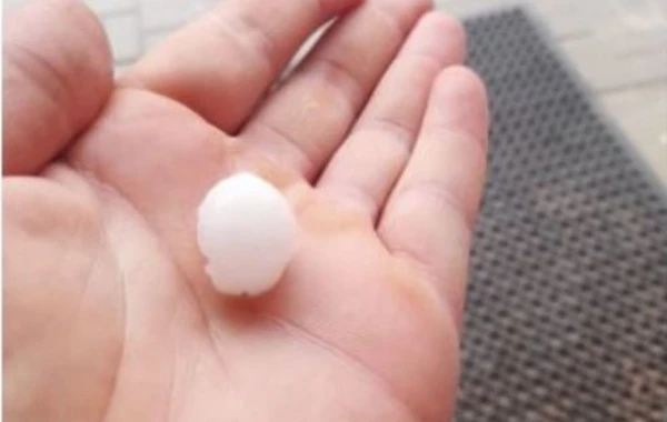 Daşkəsən və Göygöl rayonlarına güclü dolu yağdı – FOTO