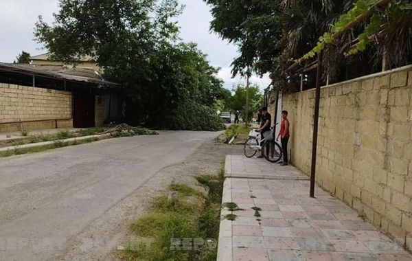 Salyanda güclü külək bir sıra fəsadlar törətdi - FOTO