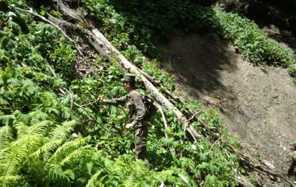 FHN Zaqatala dağlarında itkin düşən hindistanlı turistlə bağlı məlumat yaydı - FOTO/VİDEO