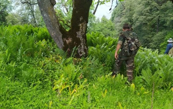 FHN Zaqatala dağlarında itkin düşən hindistanlı turistlə bağlı məlumat yaydı - FOTO/VİDEO