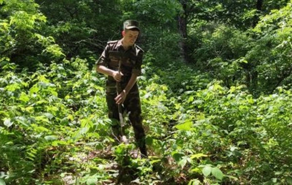 FHN Zaqatala dağlarında itkin düşən hindistanlı turistlə bağlı məlumat yaydı - FOTO/VİDEO