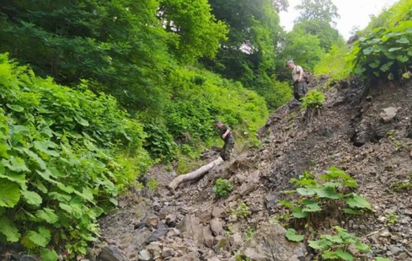 FHN Zaqatala dağlarında itkin düşən hindistanlı turistlə bağlı məlumat yaydı - FOTO/VİDEO