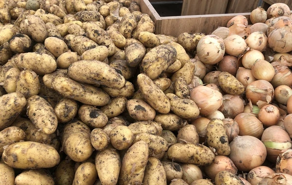 Bakı və Abşeronda həftəsonu yarmarkalar keçiriləcək - FOTO