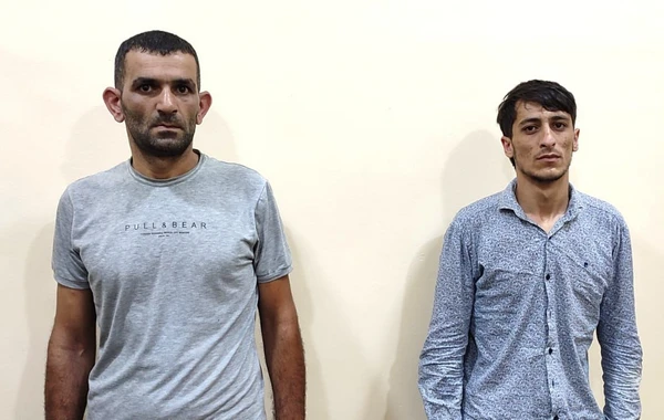 “VAZ-2107” ilə qoyun oğurlayan Lənkəran sakinləri saxlanılıb - FOTO