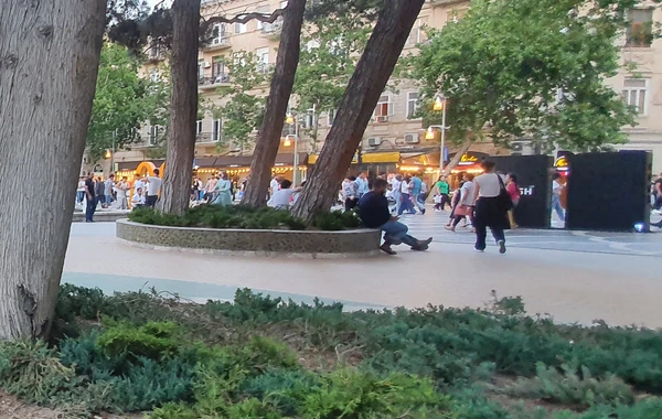 Bakıda “şir kükrəməsi” sakinlərin marağına səbəb olub - FOTO