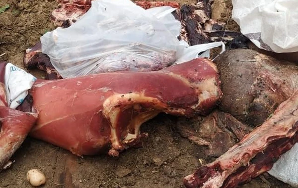 İstehlaka yararsız ət aşkarlanıb - FOTO