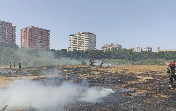 Bakıda parkda qəsdən yanğın törədilib, saxlanılan var - FOTO