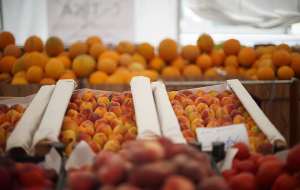 Bu ərazilərdə ucuz bazar olacaq - FOTO