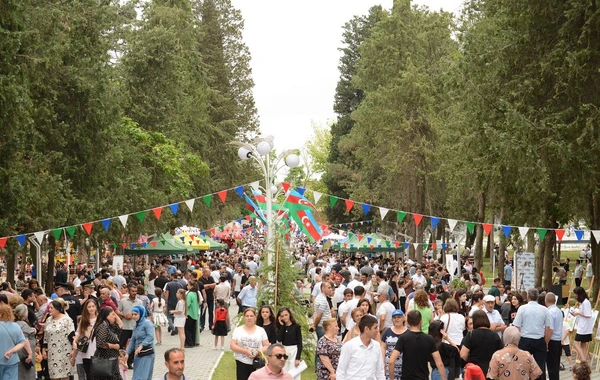 Azərbaycanda ilk dəfə “Albalı və gilas” festivalı keçirilib - FOTO
