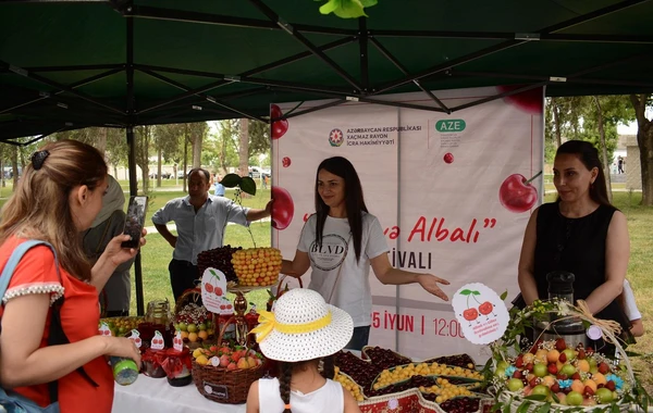 Azərbaycanda ilk dəfə “Albalı və gilas” festivalı keçirilib - FOTO