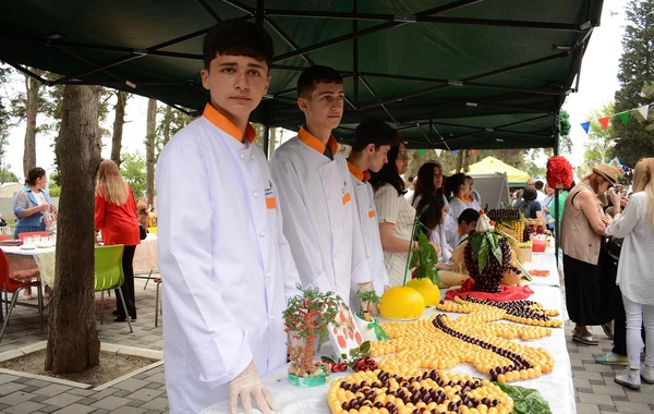 Azərbaycanda ilk dəfə “Albalı və gilas” festivalı keçirilib - FOTO