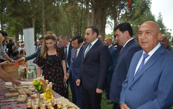Azərbaycanda ilk dəfə “Albalı və gilas” festivalı keçirilib - FOTO