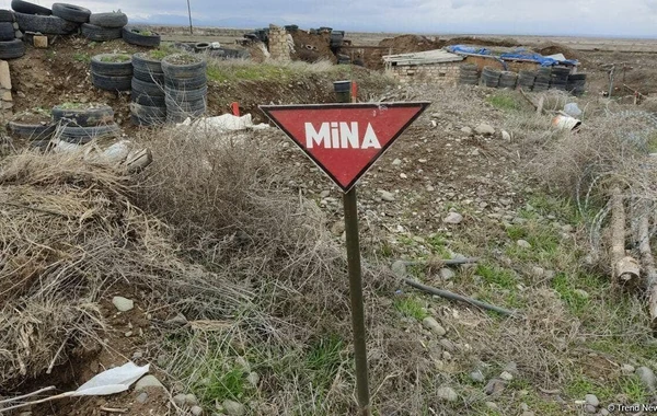 Mina və partlamamış sursatlardan təmizlənən ərazilərin sahəsi AÇIQLANDI