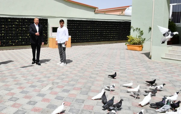 Prezident İlham Əliyev Ramana qəsəbəsində görülən abadlıq işləri ilə tanış olub - FOTO