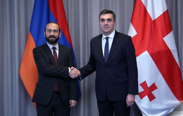 Gürcüstan XİN rəhbəri: Regionda sülh və sabitlik üçün birgə səylərimiz öz nəticəsini verəcək