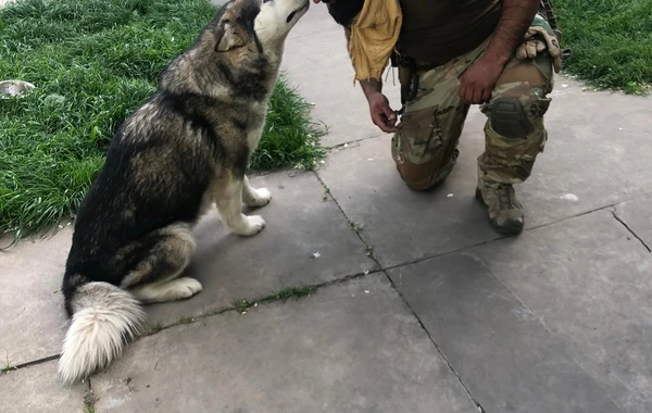 Ukraynada daha bir azərbaycanlı döyüşçü həlak oldu - FOTO