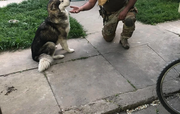 Ukraynada daha bir azərbaycanlı döyüşçü həlak oldu - FOTO